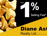 Diane Astle - Diane Astle Realty