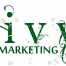 Stacey Whittington - IVY Marketing