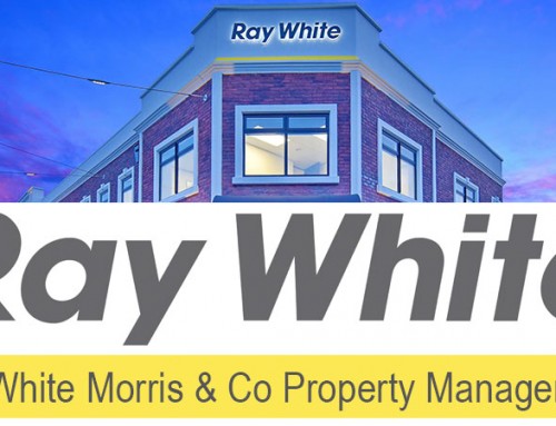 Katrina Green – Ray White Morris & Co Property Management