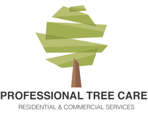 Jonathan Tater – Professional Tree Care
